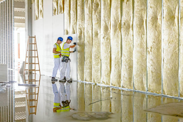 Best Insulation for Commercial Buildings  in Medina, TX